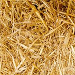 Come approfittare delle offerte di benvenuto su Naobet per nuovi utenti